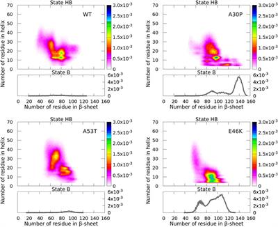 Wild-Type α-Synuclein and Variants Occur in Different Disordered Dimers and Pre-Fibrillar Conformations in Early Stage of Aggregation